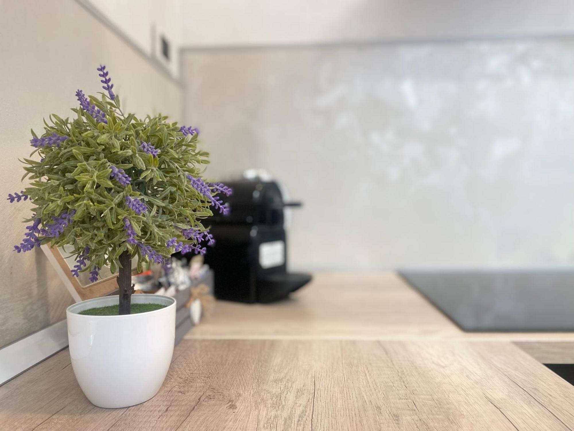Apartamento Mazzini 12 Very With Private Garage, Air Conditioning, Wifi, Just 50 Meters From The *